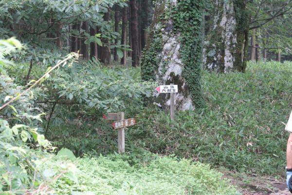 d0162724_23273365.jpg