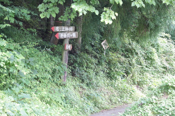 d0162724_23310066.jpg