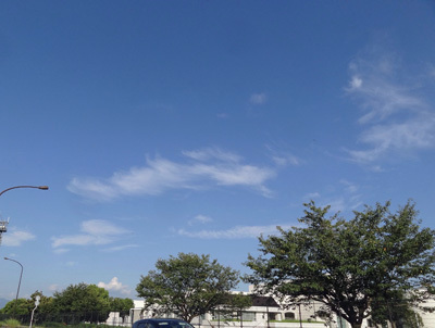 b0037926_23400639.jpg