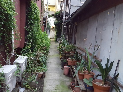 e0016828_10032570.jpg