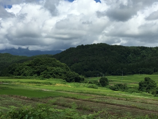 f0375928_16270619.jpg