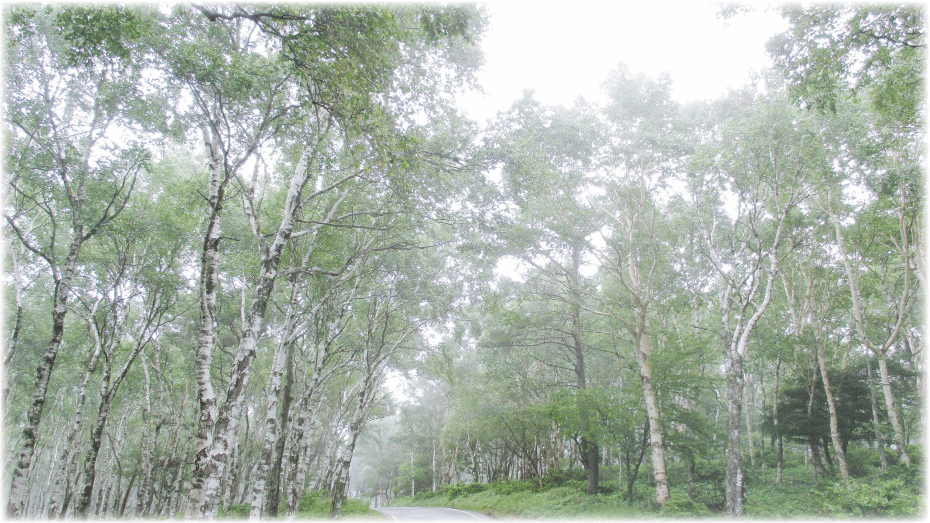 c0107829_18194516.gif