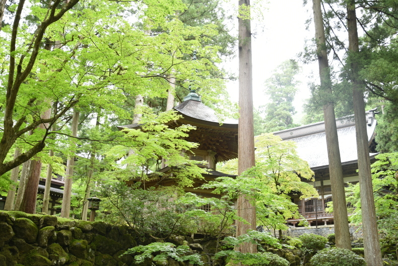 b0312230_15242920.jpg