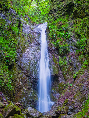 e0321032_09345963.jpg