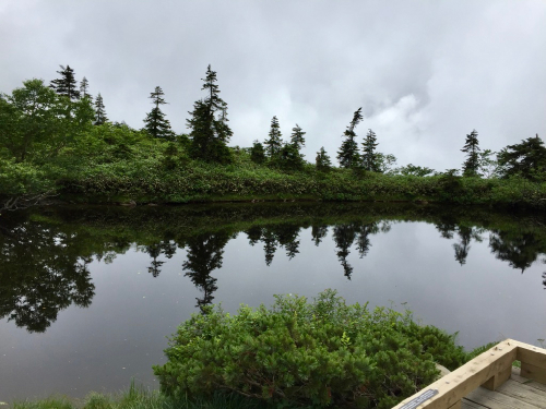 b0094033_08151846.jpg