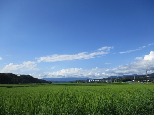 d0127634_16213533.jpg