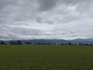 a0014840_204441.jpg