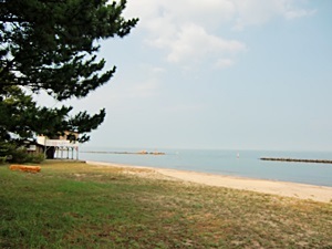 a0234142_21055004.jpg