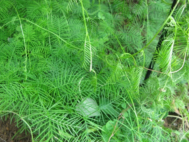 d0333943_16123067.jpg