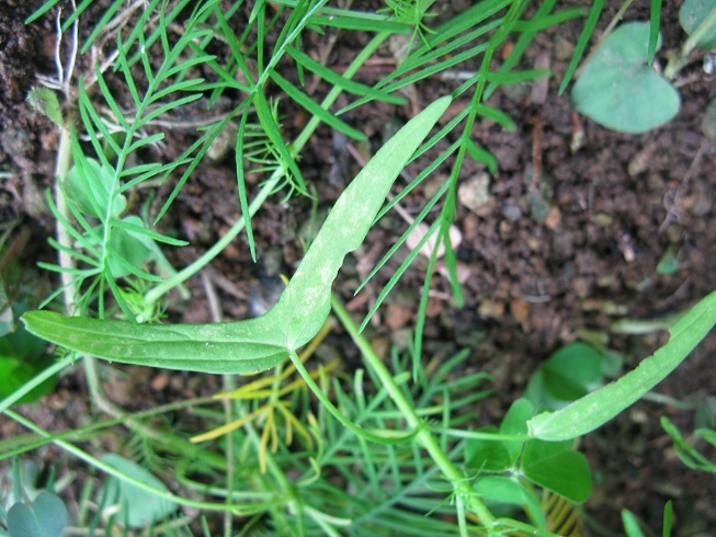 d0333943_16161491.jpg