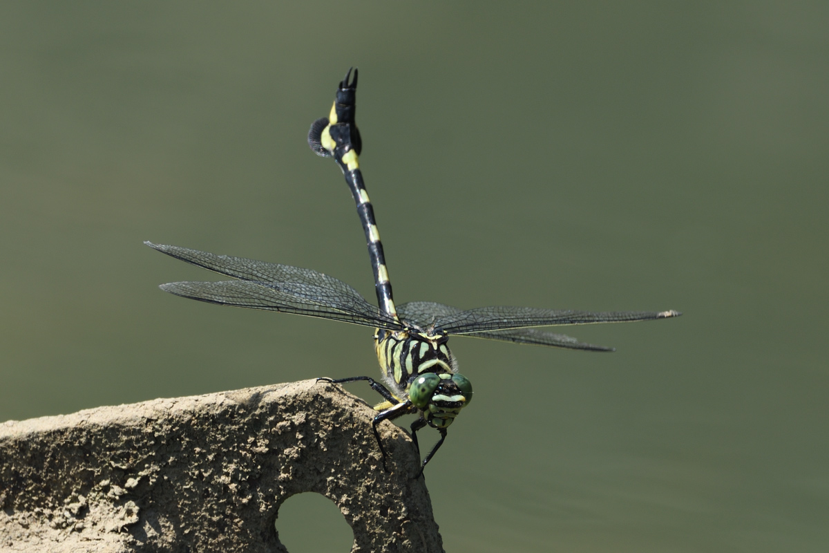 a0039245_014928.jpg