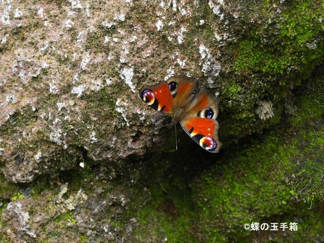 b0107948_21211729.jpg