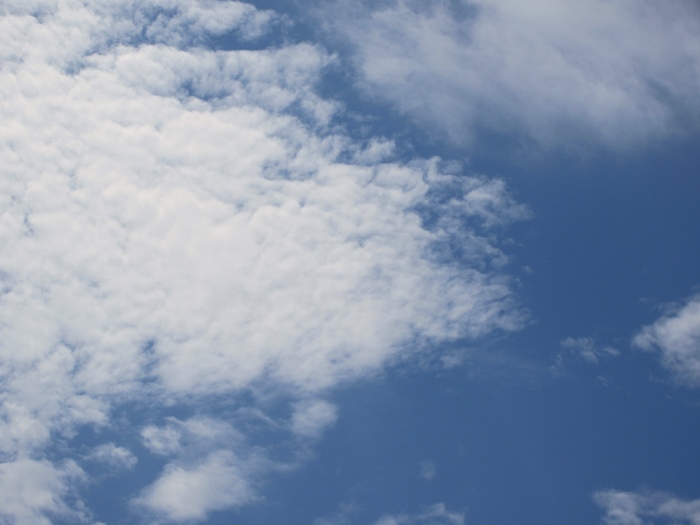 b0009849_1529470.jpg