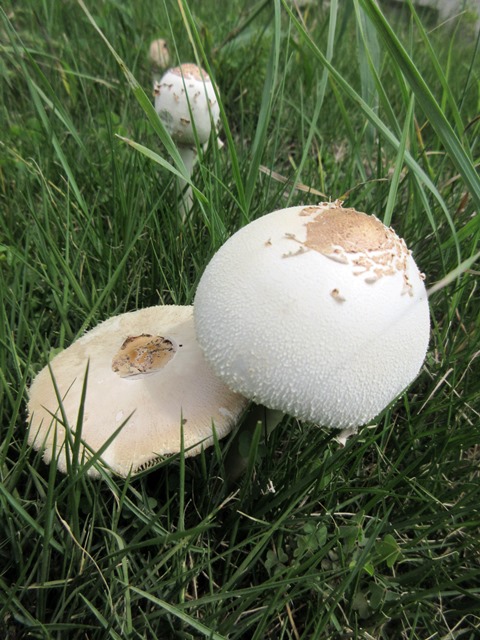 b0009849_15294931.jpg
