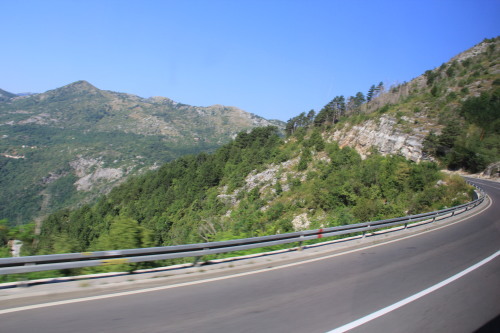 c0011649_06261029.jpg