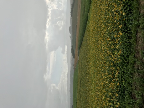 f0046250_14182810.jpg