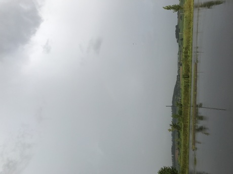 f0046250_14183295.jpg