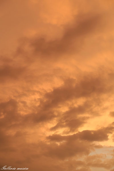 f0351853_04245875.jpg