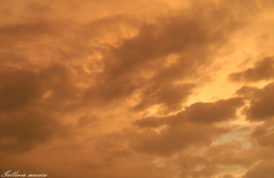 f0351853_04250256.jpg