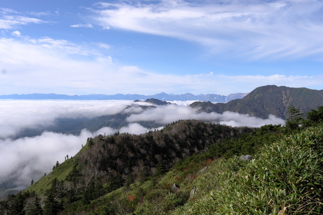 a0288155_15293475.jpg