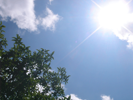 e0001558_11412553.gif