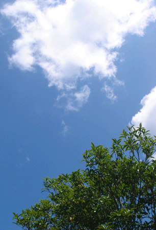 e0001558_11414690.gif