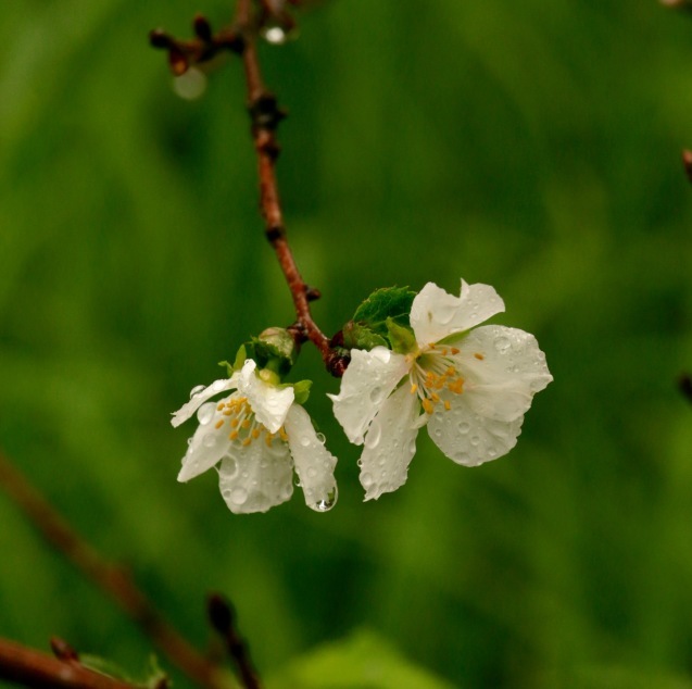a0248459_05522479.jpg