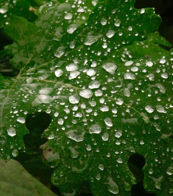 a0248459_05533829.jpg