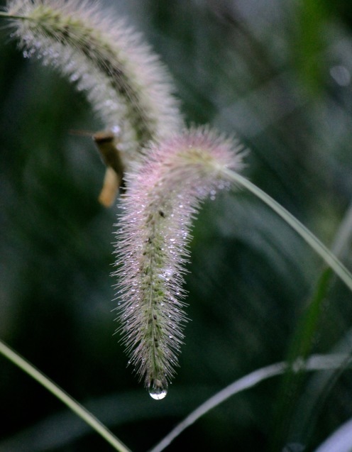 a0248459_05542712.jpg