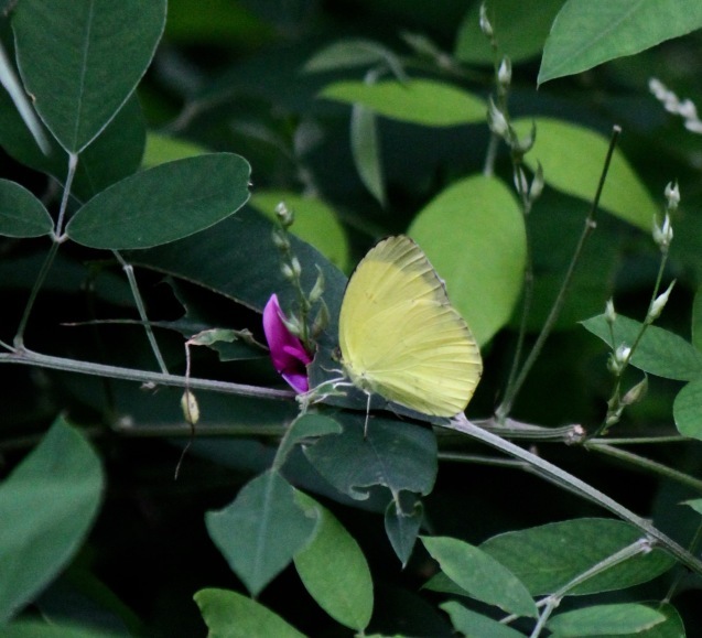 a0248459_05555125.jpg