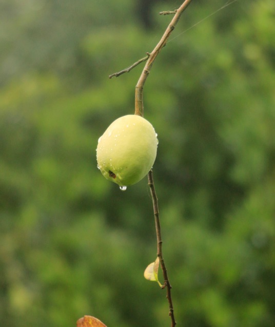 a0248459_05581868.jpg
