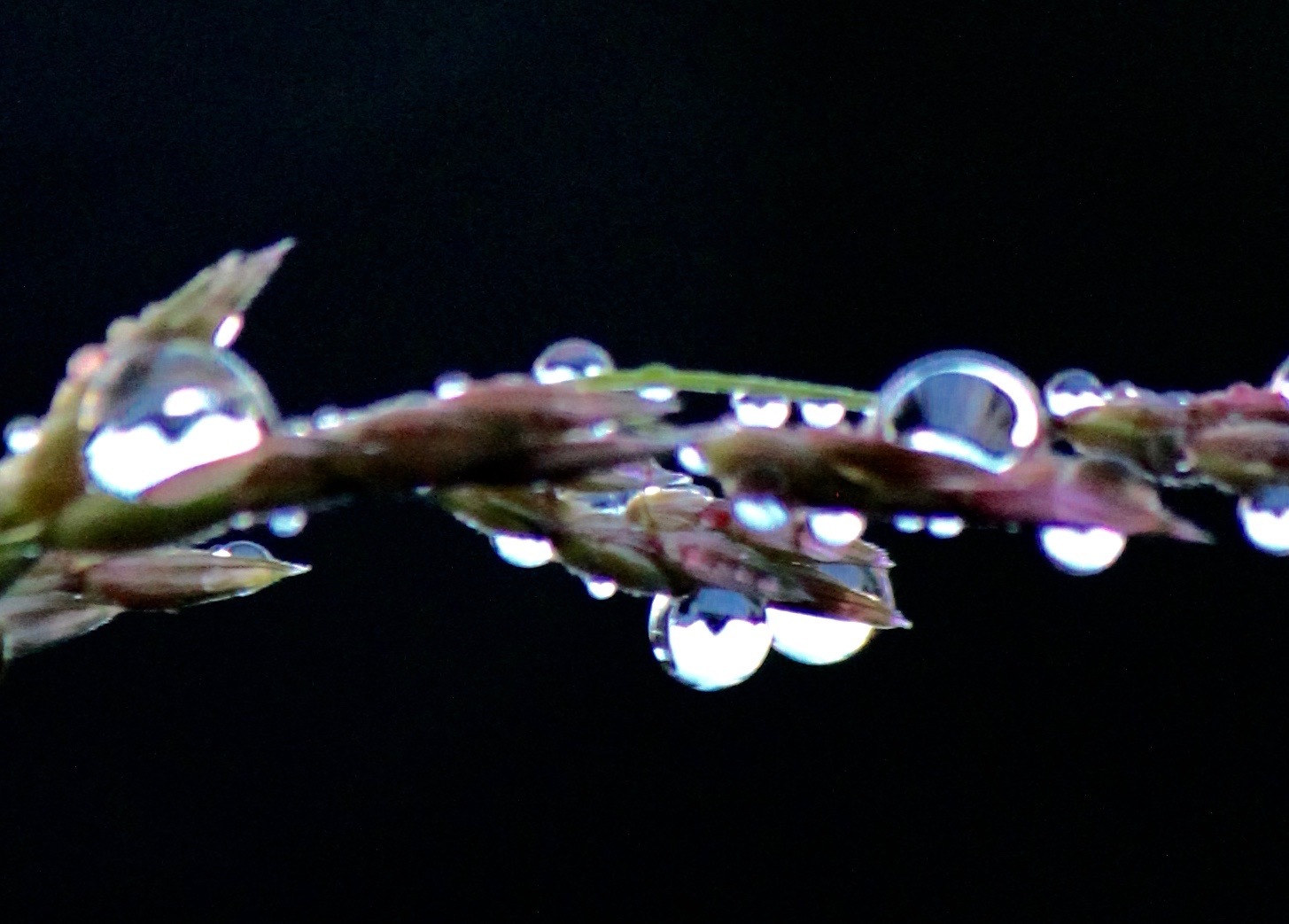 a0248459_15181078.jpg