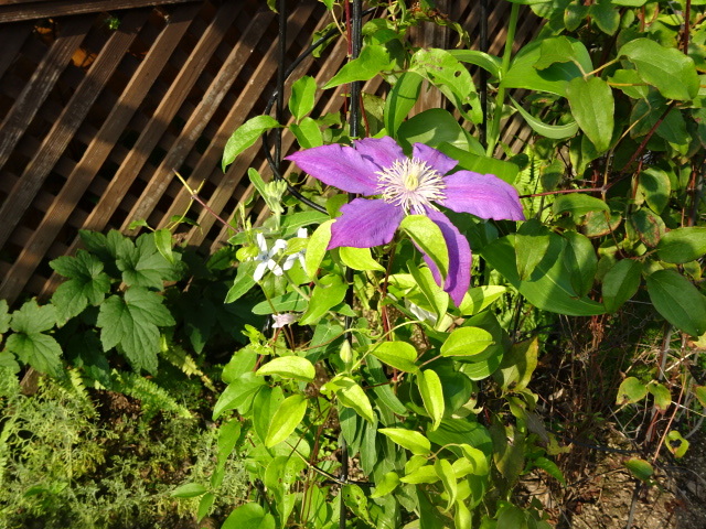 a0241761_17214961.jpg
