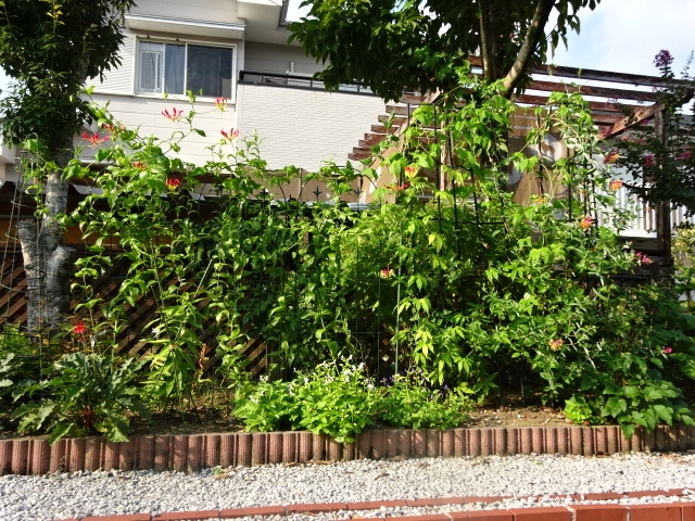 a0241761_17263485.jpg