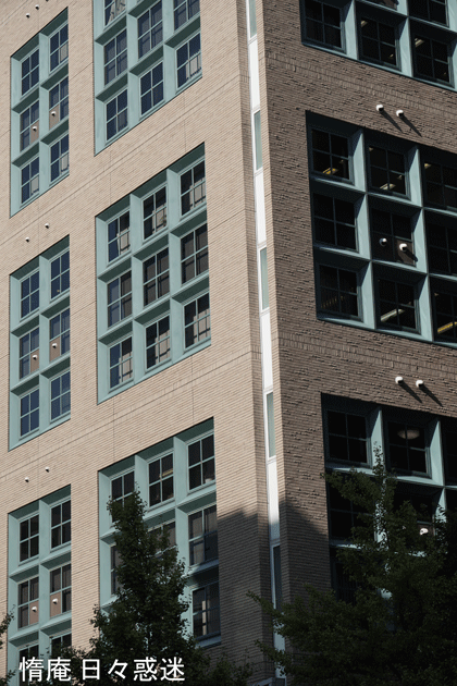 e0346064_20550267.gif