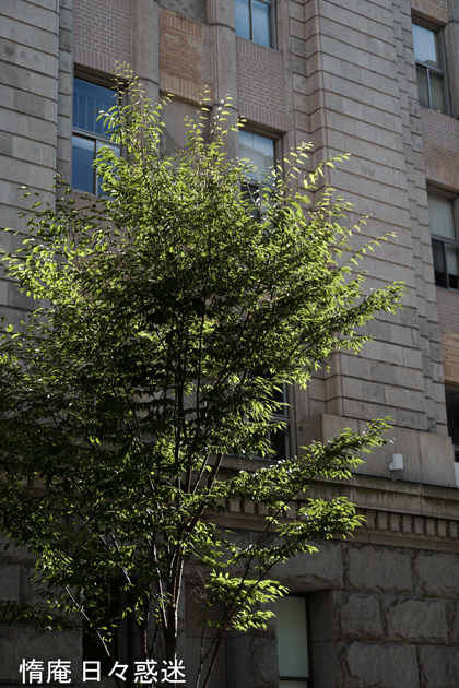 e0346064_20550384.gif