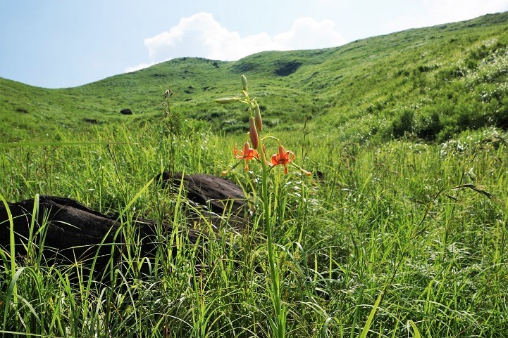 c0248473_17093103.jpg