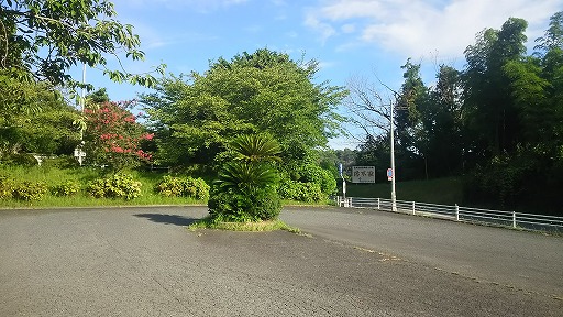 e0020682_23165688.jpg