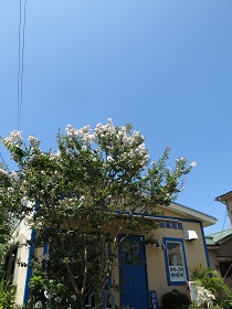 e0130185_12461528.jpg