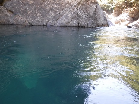 d0170586_20842100.jpg