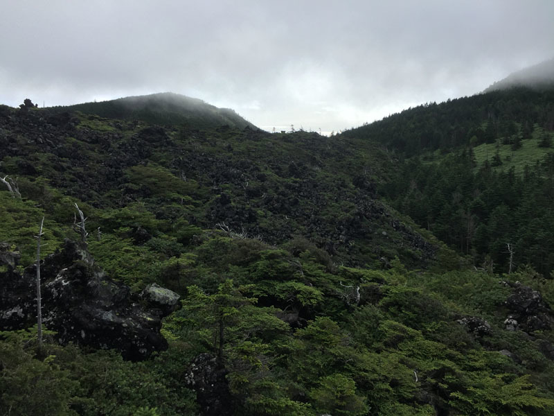 d0161702_08112421.jpg