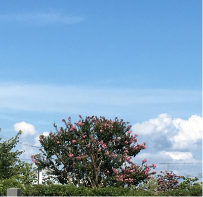 b0349003_20252518.jpg