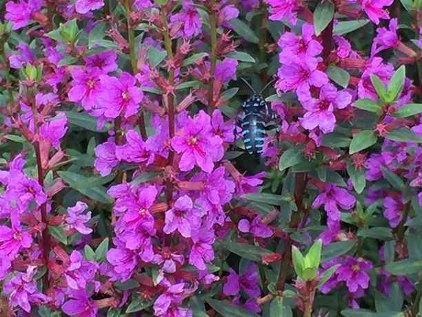 f0364707_23011996.jpg