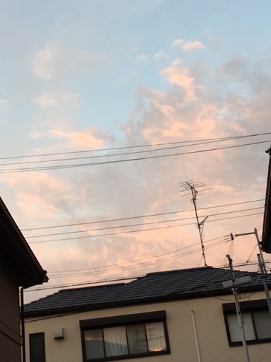 a0114314_639652.jpg