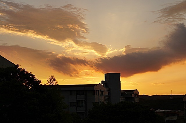 b0068423_17342086.jpg