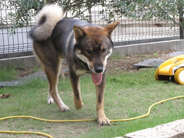 f0143123_09184705.jpg