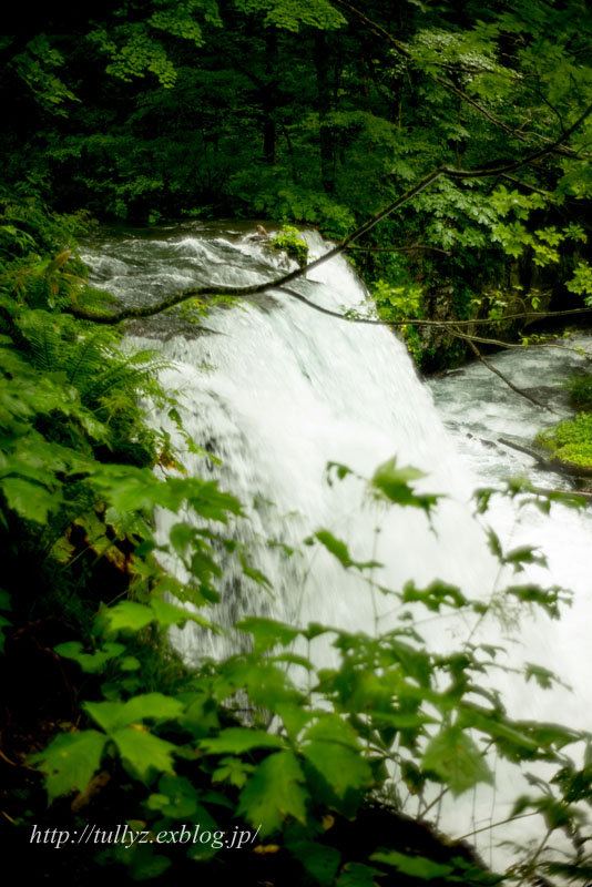 d0108132_18193665.jpg