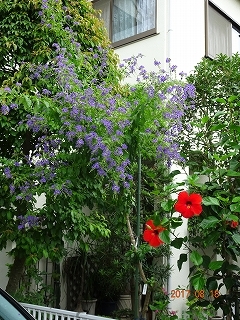 c0147935_21114377.jpg