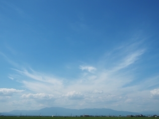 c0199535_23562759.jpg