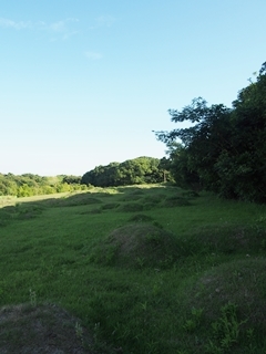 c0199535_23591344.jpg